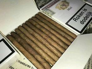 国产雪茄购买网站